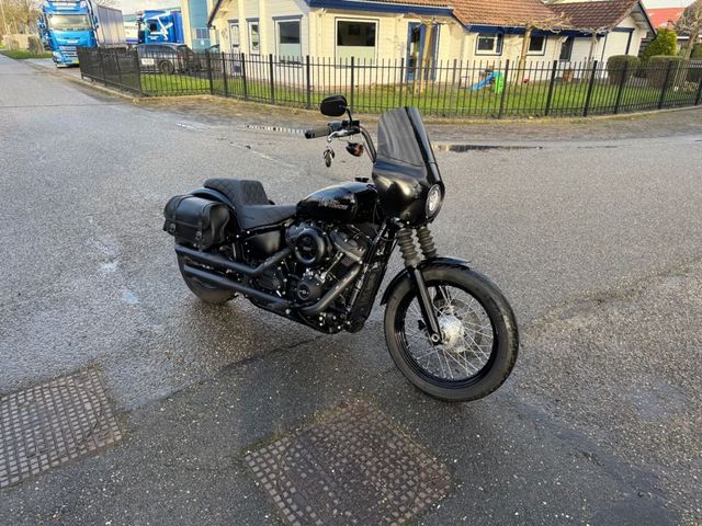 harley-davidson - softail-street-bob