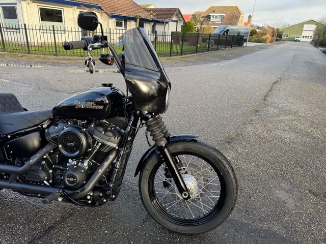 harley-davidson - softail-street-bob