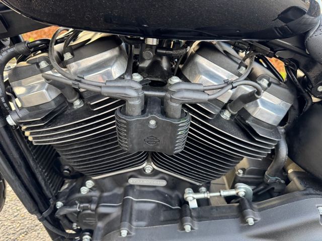 harley-davidson - softail-street-bob