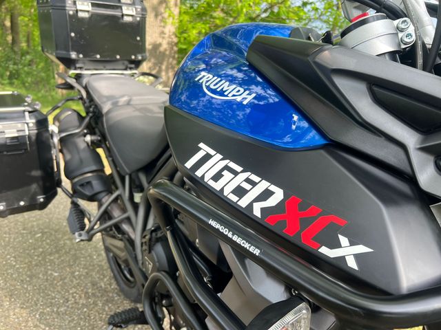 triumph - tiger-800-xcx