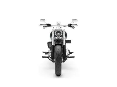 HARLEY-DAVIDSON BREAKOUT FXBR – foto 3