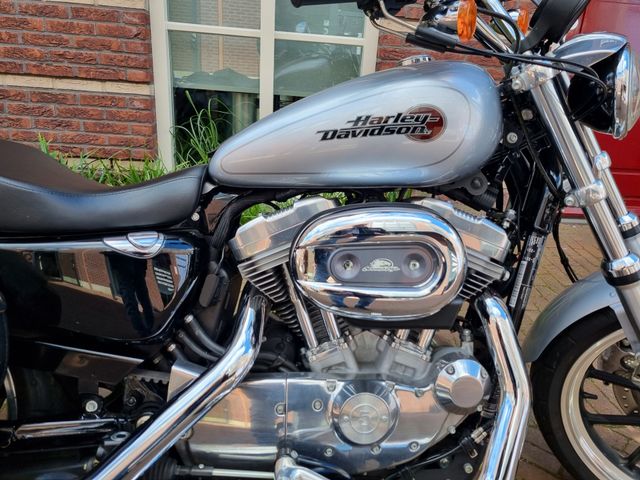 harley-davidson - sportster-low-xl-883-l