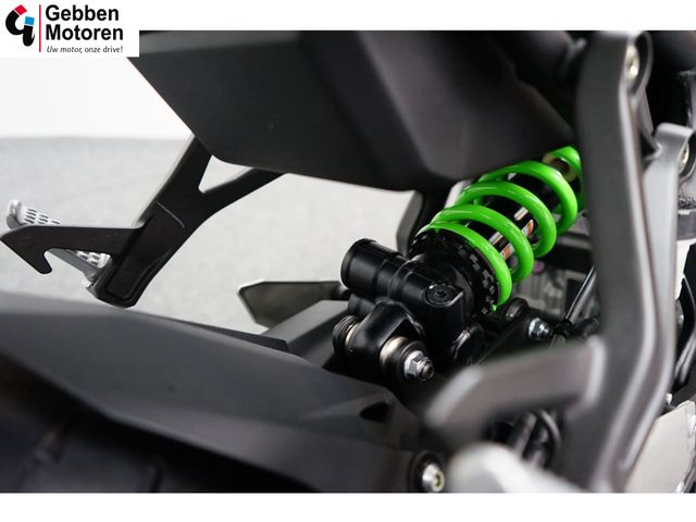 kawasaki - ninja-zx-4rr