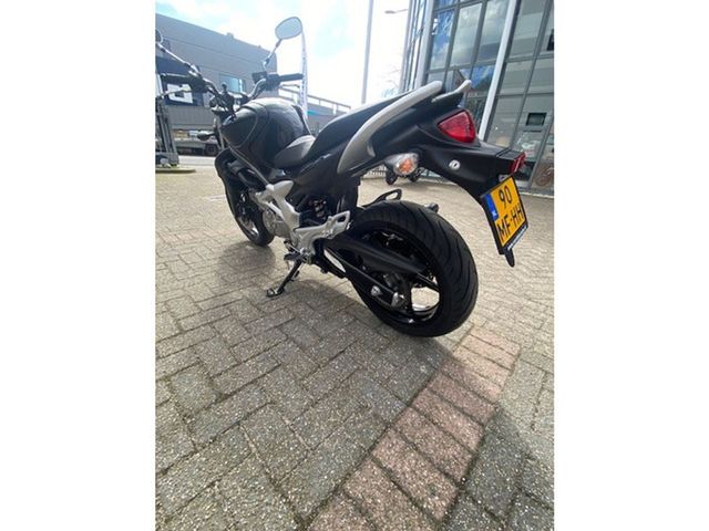 suzuki - gladius