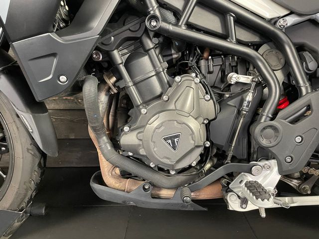 triumph - tiger-900-gt-pro