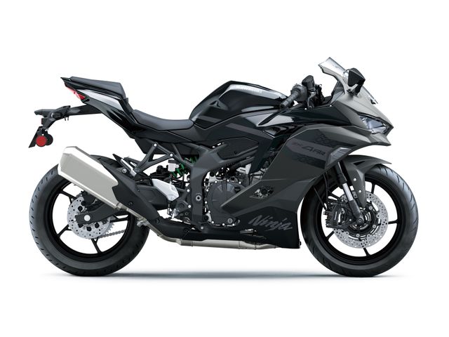 kawasaki - ninja-zx-4rr