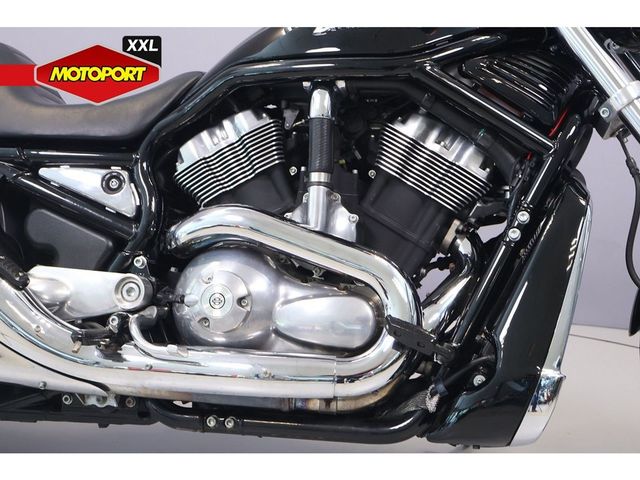 harley-davidson - night-rod-vrscd