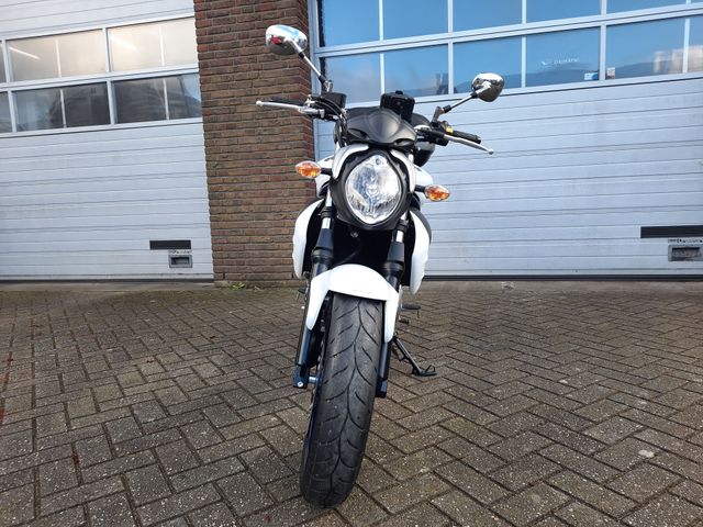 suzuki - gladius