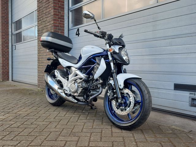 suzuki - gladius