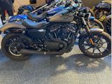 HARLEY-DAVIDSON SPORTSTER IRON XL 883 N