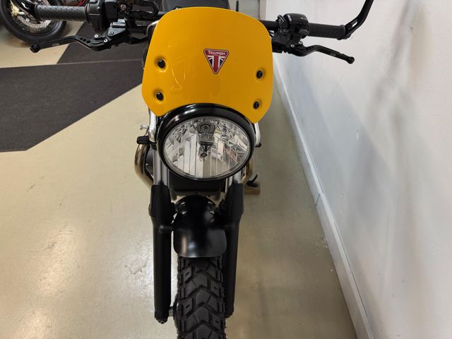 triumph - street-cup