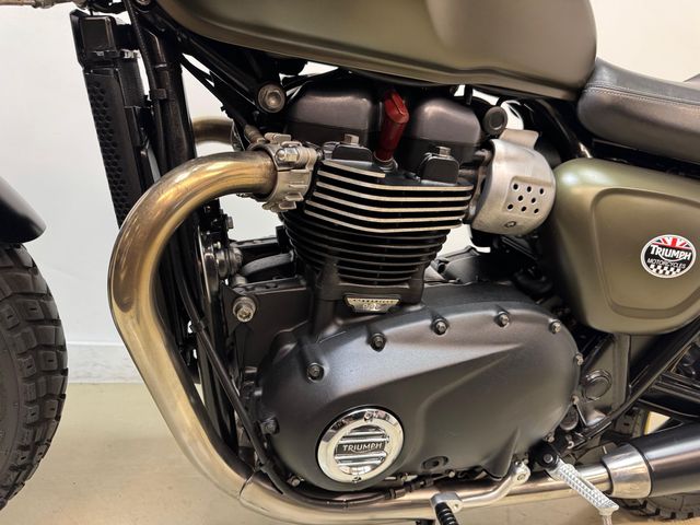 triumph - street-cup