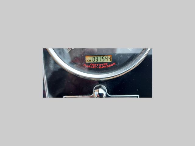 harley-davidson - softail-deluxe-flstni