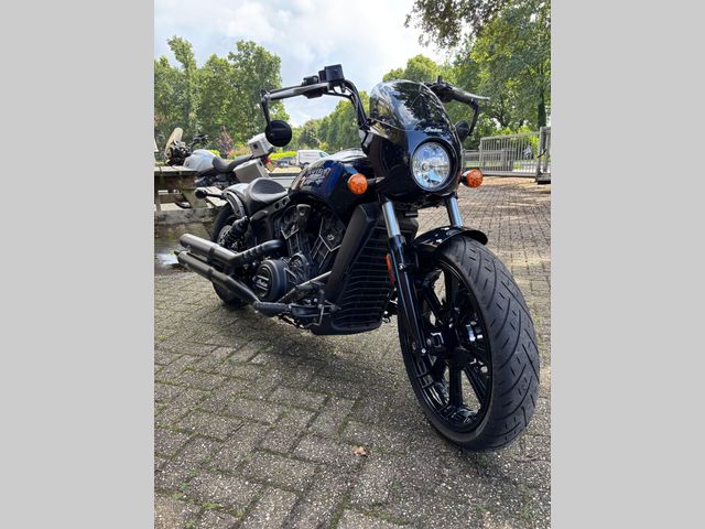 indian - scout-rogue