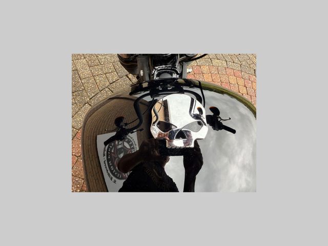 harley-davidson - street-bob-107