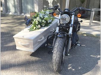 Harley-Davidson Zijspan 2020 occasion