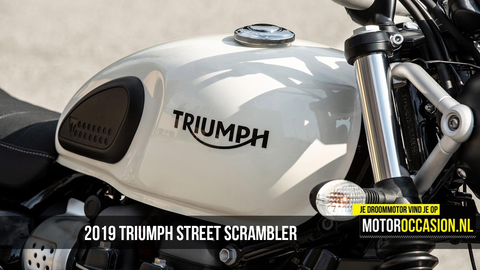 2019 Triumph Street Scrambler