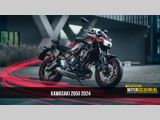 Kawasaki Z650 2024