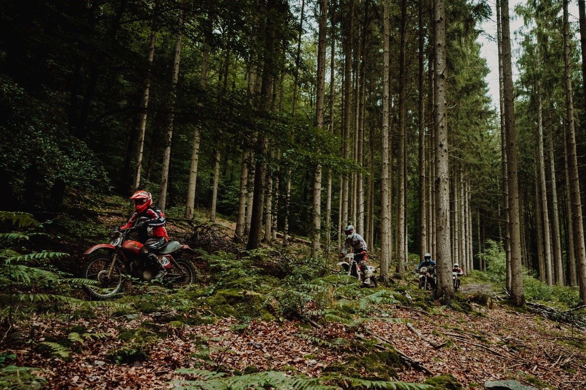 10+11/08: Bikers&rsquo;Festival 2024