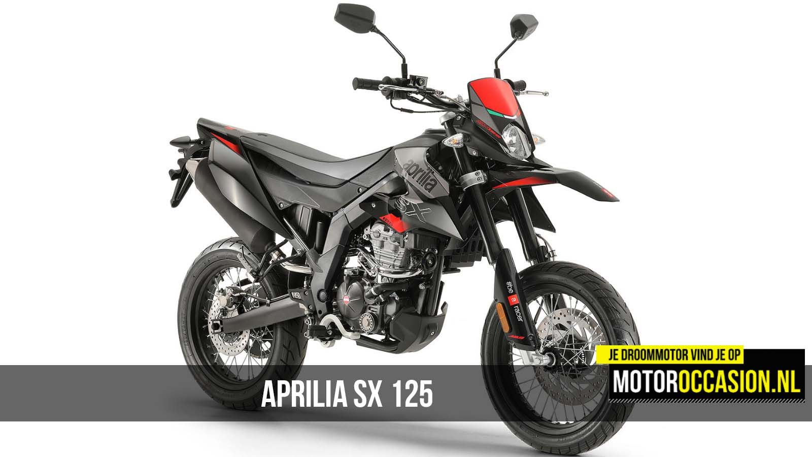 Aprilia Racing Factory, RX 125 en SX 125